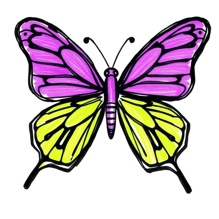 Hand-drawn Butterfly